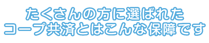 たくさんの方に選ばれたコープ共済とはこんな保障です