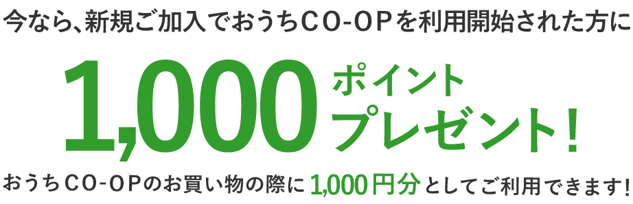 Webからのご利用開始手続きで1000ポイントプレゼント！