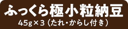 ふっくら極小粒納豆 45g×3（たれ・からし付き）