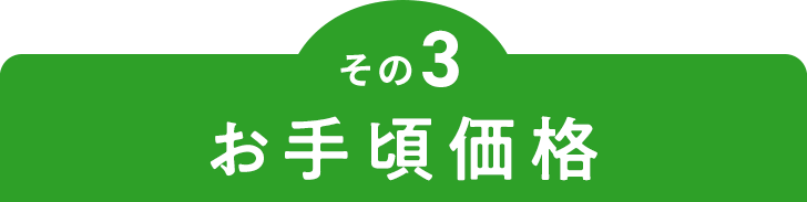 その3 お手頃価格