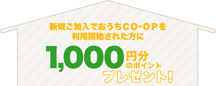Web利用申込で1000円分のポイントプレゼント
