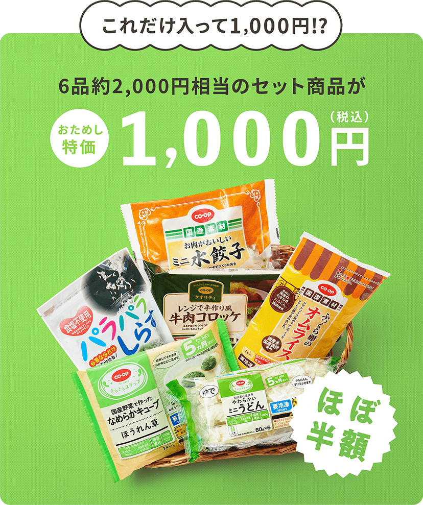 これだけ入って1,000円!?6品約2,000円相当のセット商品がおためし特価1,000円(税込) ほぼ半額