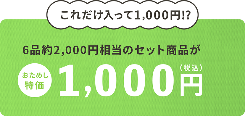 これだけ入って1,000円!?6品約2,000円相当のセット商品がおためし特価1,000円(税込) ほぼ半額