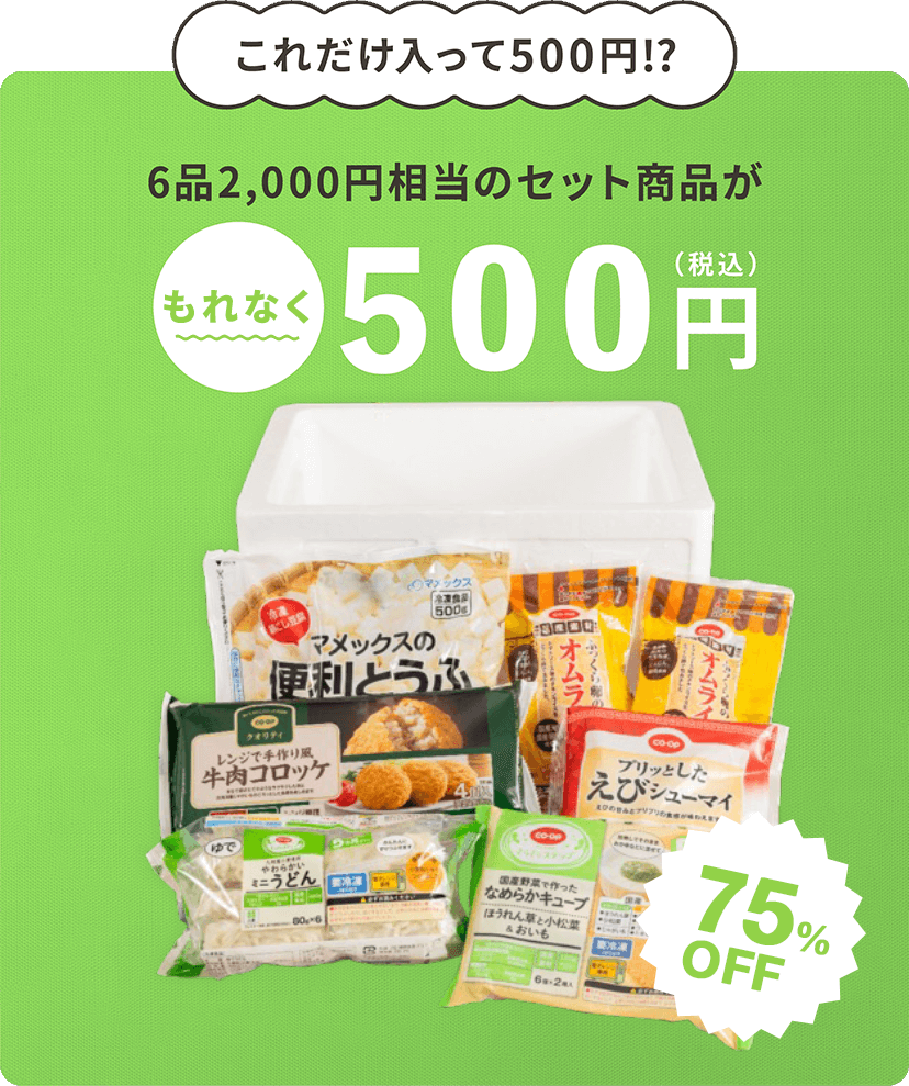 これだけ入って500円!?6品約2,000円相当のセット商品が今だけ500円(税込) 75%OFF