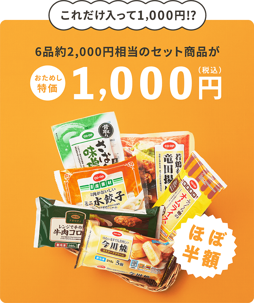 これだけ入って1,000円!?6品約2,000円相当のセット商品がおためし特価1,000円(税込) ほぼ半額