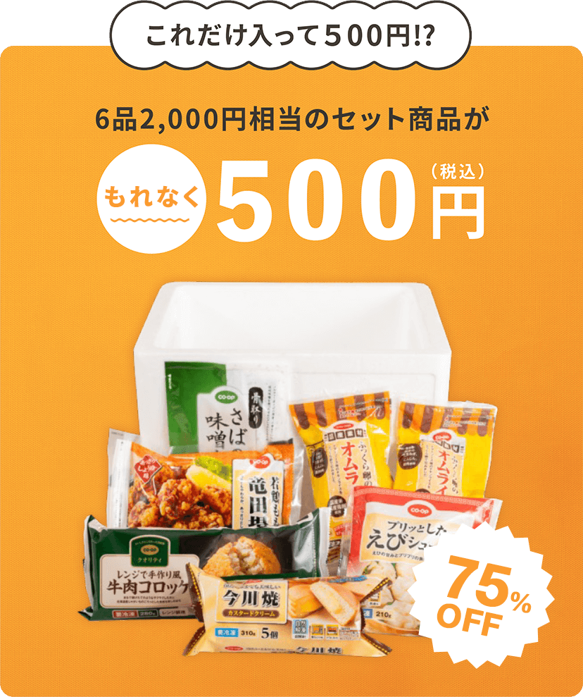 これだけ入って500円!?6品約2,000円相当のセット商品が今だけ500円(税込) 75%OFF
