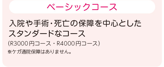 ベーシックコース 入院や手術・死亡の保障を中心としたスタンダードなコース（R3000円コース・R4000円コース）※ケガ通院保障はありません。