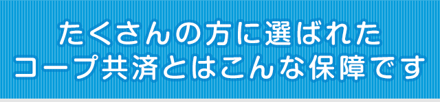 たくさんの方に選ばれたコープ共済とはこんな保障です