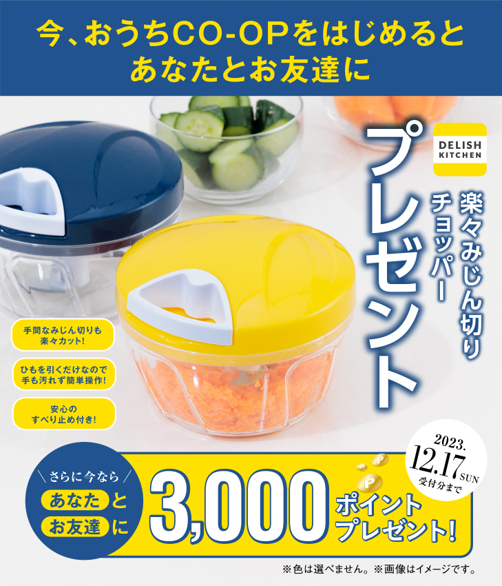 今、おうちＣＯ-ＯＰをはじめるとあなとお友達に「ポイント」および「DELISH KITCHEN 楽々みじん切りチョッパー」プレゼント 期間限定 2023年12月17日（日）まで